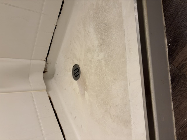 Bathroom Before