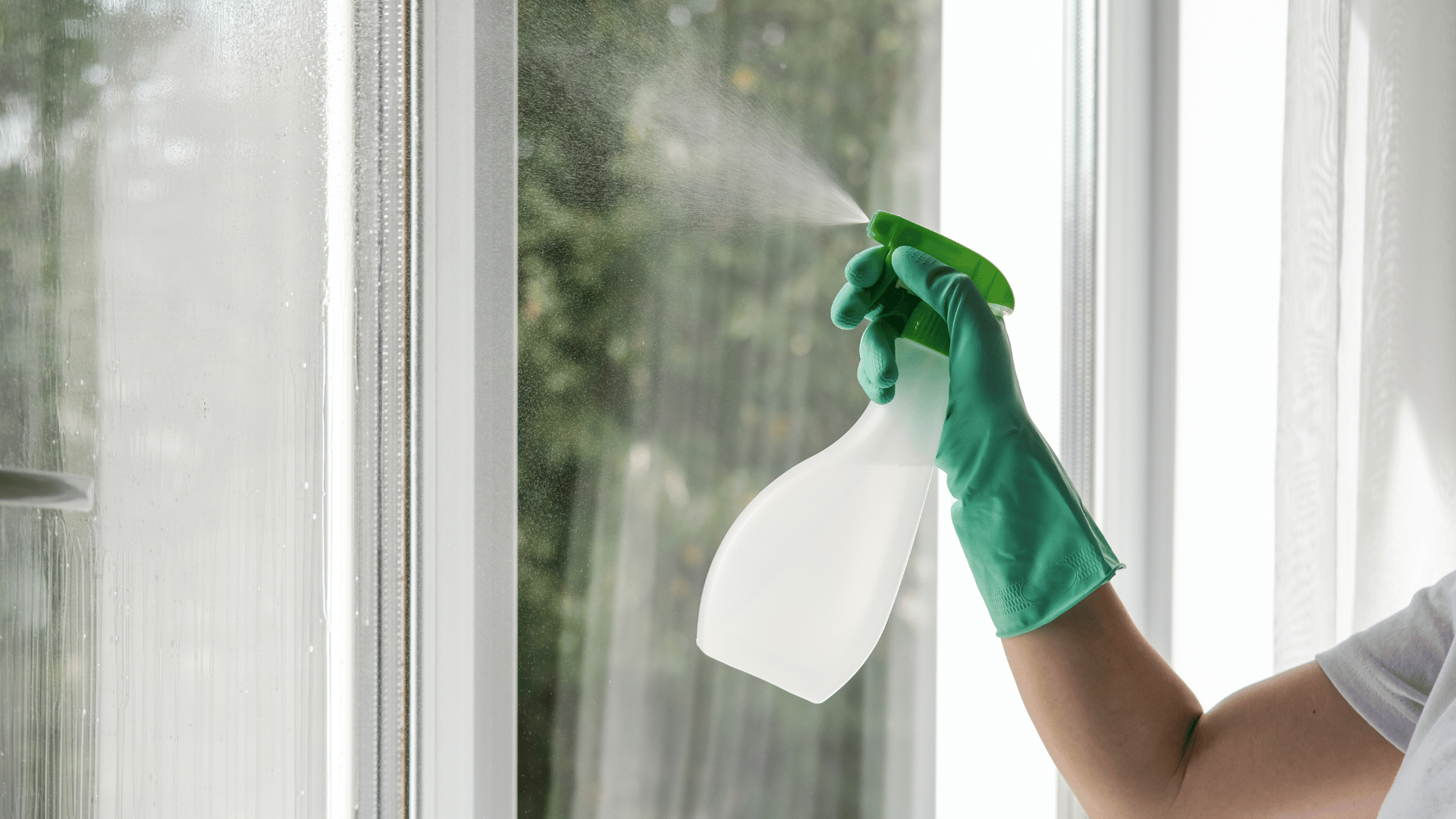 NE Clean FAQs