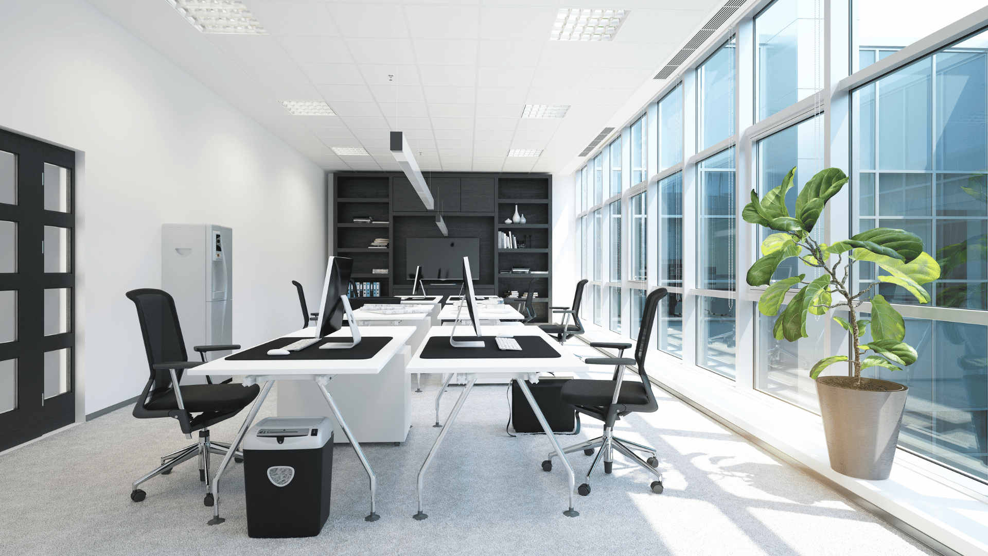 Commercial & Office Cleaning